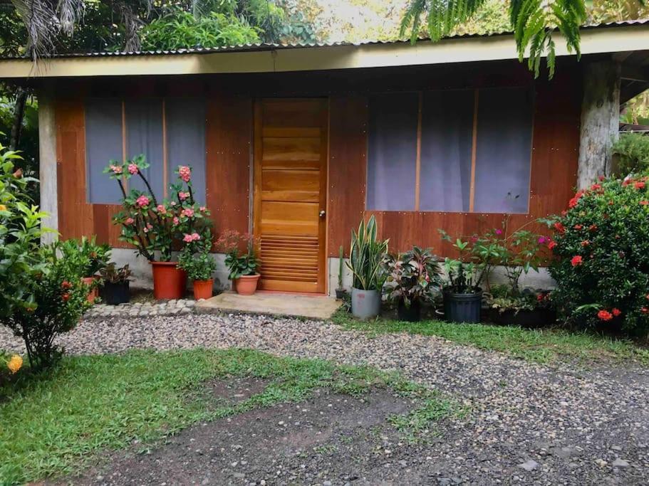 Casa Sol Apartment Puerto Jimenez Ngoại thất bức ảnh