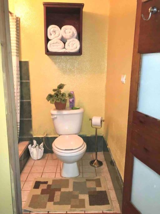 Casa Sol Apartment Puerto Jimenez Ngoại thất bức ảnh